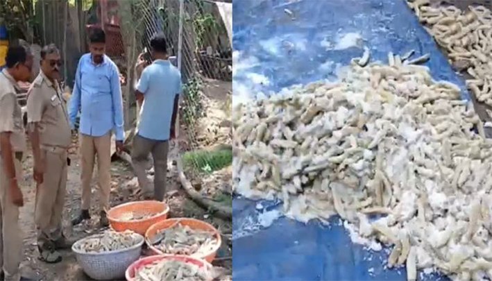 நாகை அருகே ரூ.10 கோடி மதிப்பிலான கடல் அட்டைகள் பறிமுதல்