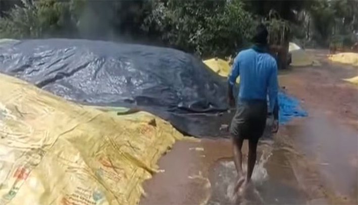 கனமழையால் நெல் மூட்டைகள் நனைந்து சேதம்- விவசாயிகள் கவலை!