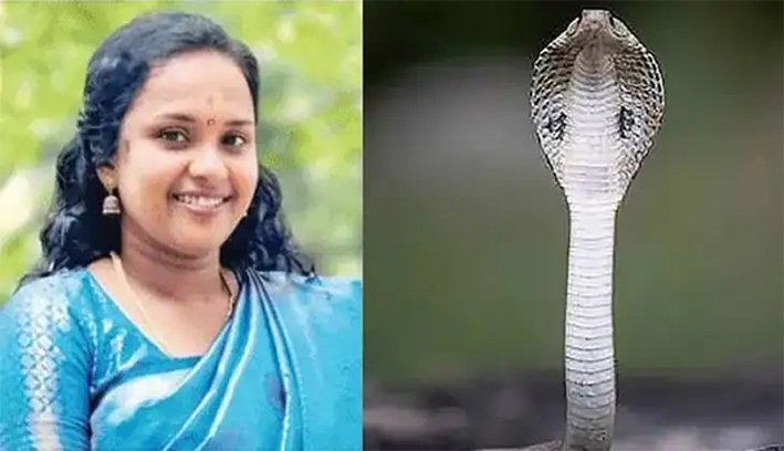 சமையல்கேஸ் சிலிண்டரில் பதுங்கியிருந்த பாம்புகடித்து பெண் பலி