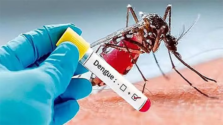 தமிழகத்தில் நேற்று ஒரே நாளில் 244 பேருக்கு டெங்கு காய்ச்சல்