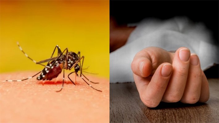 தமிழகத்தில் டெங்கு காய்ச்சல் பலி எண்ணிக்கை 12 ஆக உயர்வு