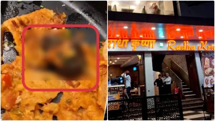 தோசைக்குள் இருந்த எலி.. மும்பை ஓட்டலில் அதிர்ச்சி சம்பவம்