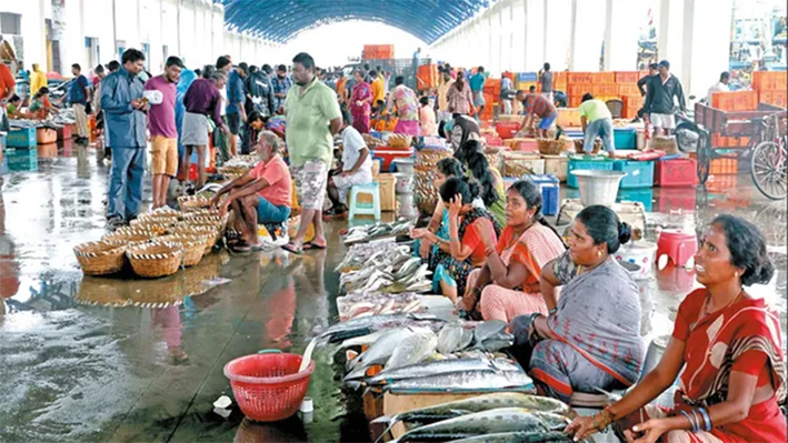 ஐப்பசி பவுர்ணமியையொட்டி விற்பனை மந்தம்: மீன்கள் விலை உயர்வு