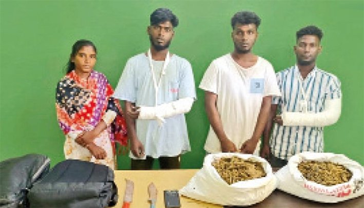 கொலை முயற்சி, கஞ்சா கடத்தல் வழக்குகளில் பெண் உட்பட 4 பேர் கைது!