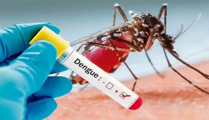 சென்னையில் ஒரே நாளில் 50 பேருக்கு டெங்கு