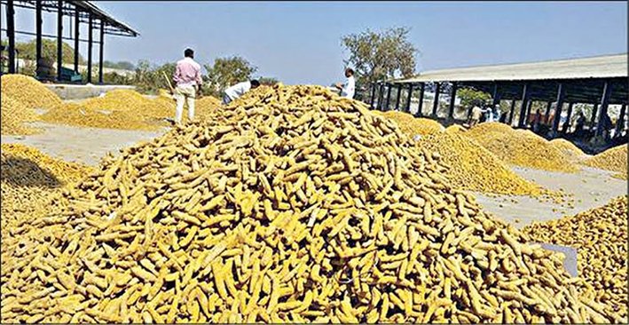 மஞ்சள் விலை ரூ.20 ஆயிரத்தை தாண்டியது