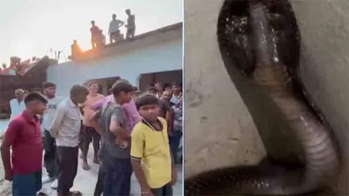 வீட்டிற்குள் திடீரென புகுந்த நாகப்பாம்பு- கிராமமே பரபரப்பு