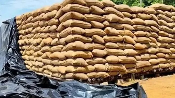 திருவாரூரில் 3,00,000 நெல் மூட்டைகள் தேக்கம்-விவசாயிகள் வேதனை
