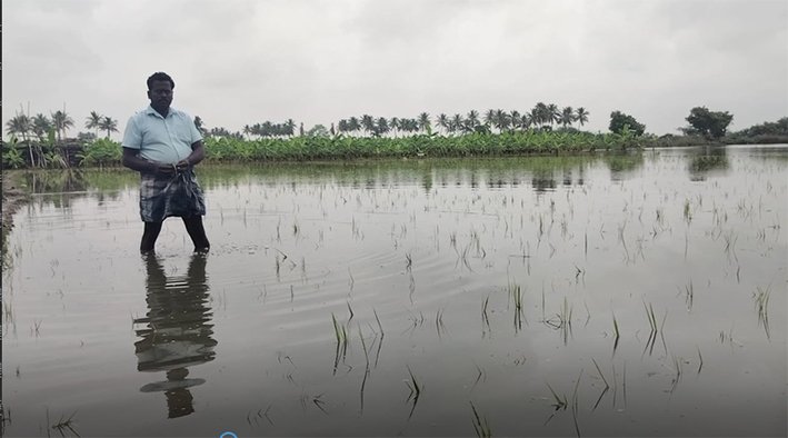 குளித்தலை அருகே சுமார் 10 ஏக்கருக்கு மேல் நெல்-வாழை சேதம்- வேதனை