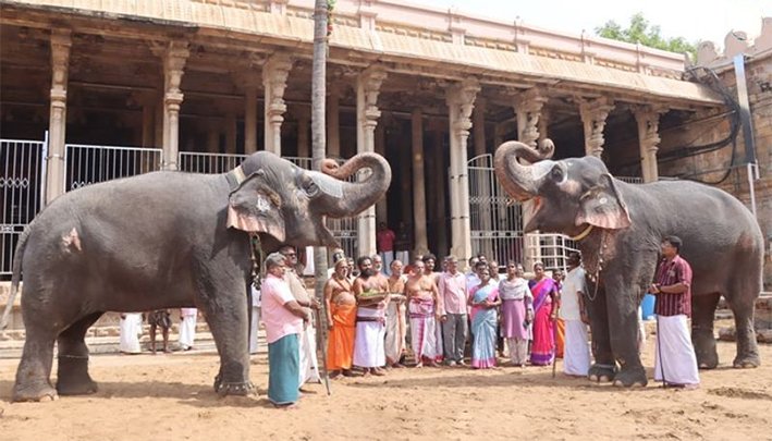 ஸ்ரீரங்கம் வைகுண்ட ஏகாதசி விழா–முகூர்த்தக்கால் நடும் நிகழ்ச்சி!