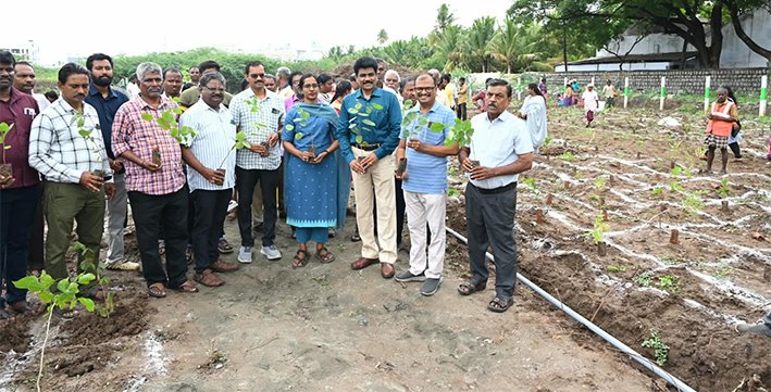 திருச்சியில் 5,000 மரக்கன்றுகள் நடும் திட்டம் தொடக்கம்!