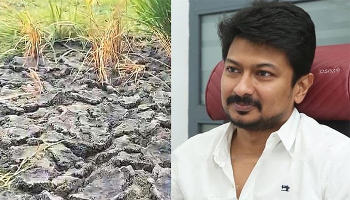 டெல்டா விவசாயிகளுக்கு உடனடி நிவாரணம்- உதயநிதி வலியுறுத்தல்!